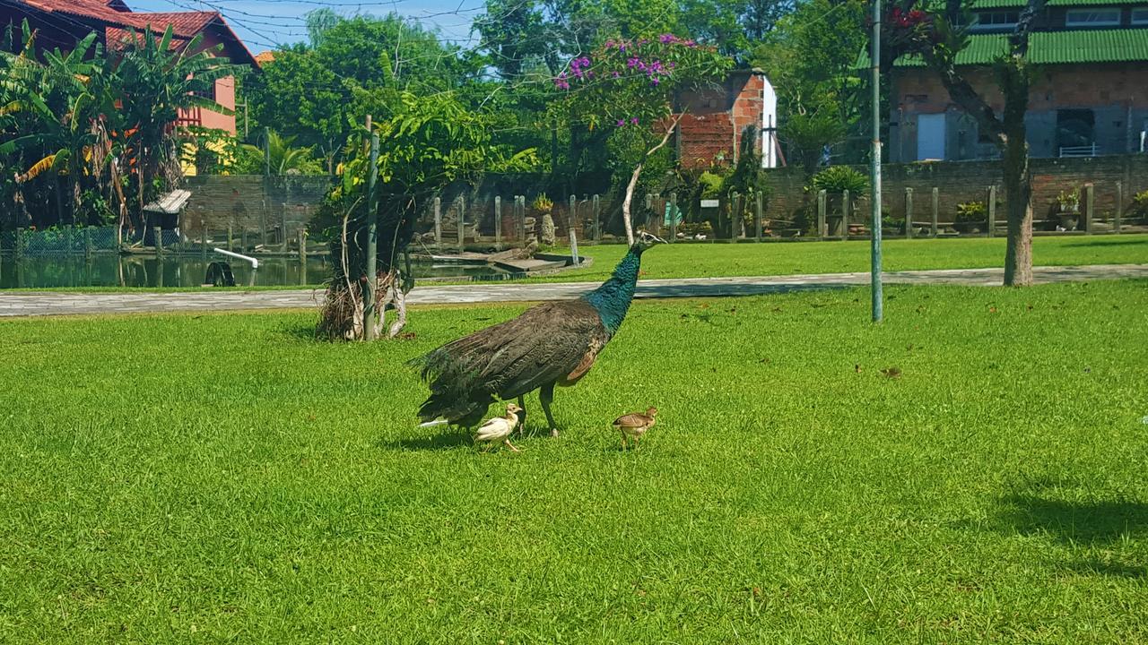 Pousada Pavao Branco Florianópolis Exteriör bild