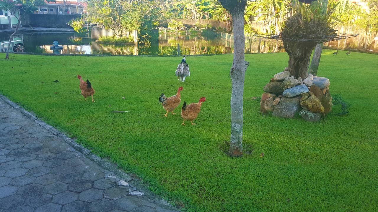 Pousada Pavao Branco Florianópolis Exteriör bild