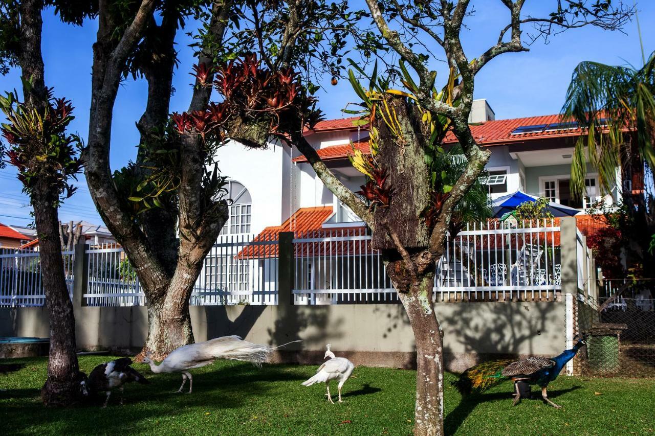 Pousada Pavao Branco Florianópolis Exteriör bild