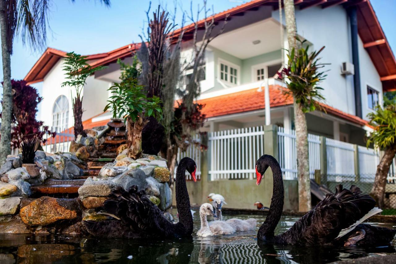 Pousada Pavao Branco Florianópolis Exteriör bild